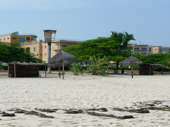 Vacation in Aruba 2011-1010405
