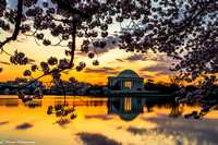 Sunrise Favorites