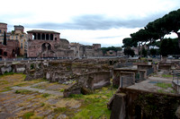 Roman Forum VII