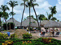 Vacation in Aruba 2011-1010208