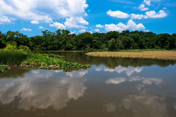 Kenilworth Marsh