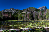Nymph_Lake_Colorado_Rocky_Mountain_National_Park (1 of 4)