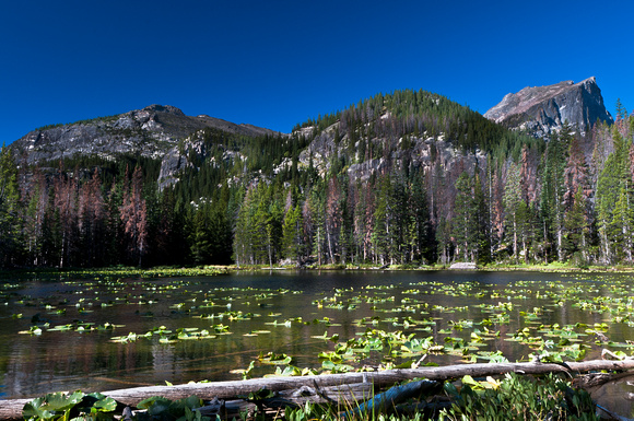 Nymph_Lake_Colorado_Rocky_Mountain_National_Park (1 of 4)
