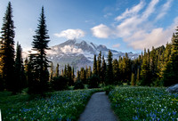 Mount Rainier-6272