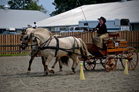Norwegian Fjord Horse Show