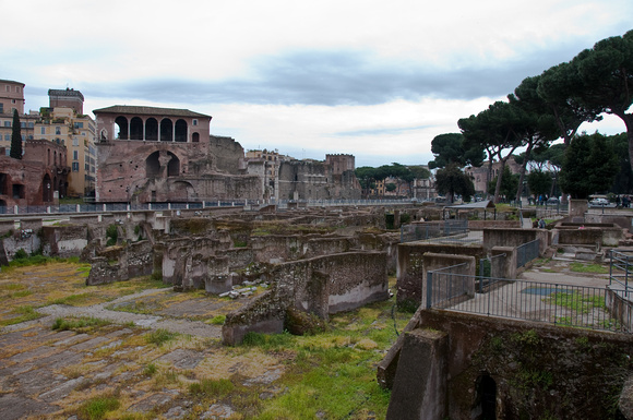 Roman Forum VII