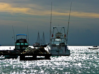 Vacation in Aruba 2011-1010293