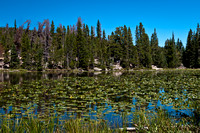 Nymph_Lake_Colorado_Rocky_Mountain_National_Park (4 of 4)