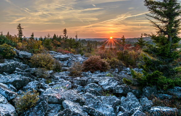 Sunset at Dolly Sods