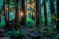 Sunset Along the Trail