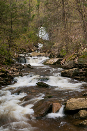 Ricketts Glen (Ganoga Glen Trail)-4701