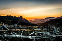 Sunrise above Hurricane Ridge